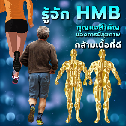 ทำความรู้จัก HMB สารอาหารสำคัญเพื่อรักษามวลกล้ามเนื้อ